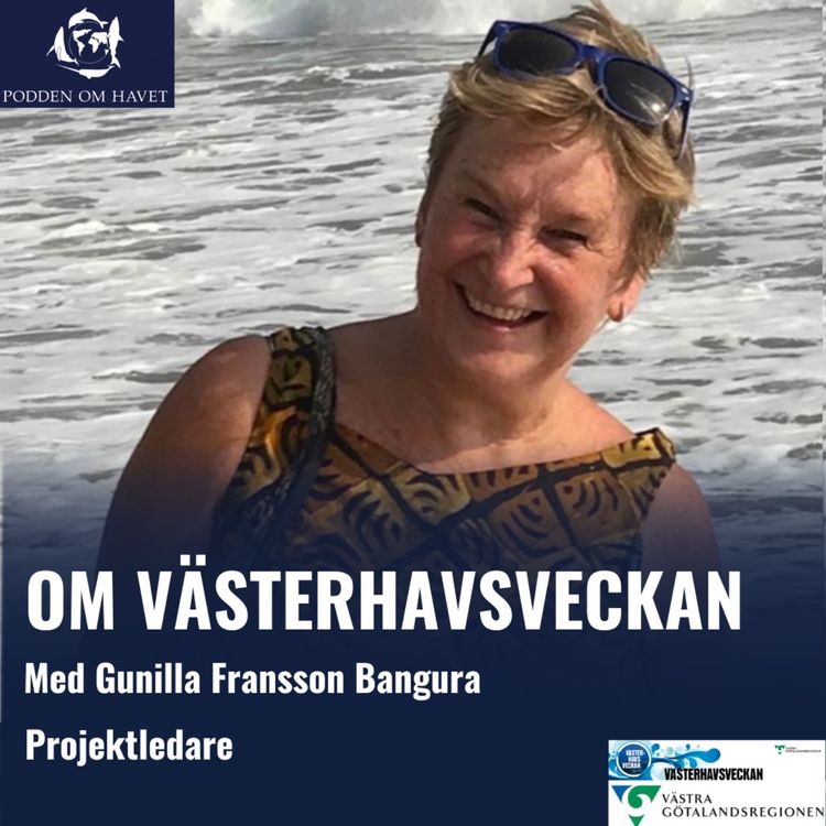 cover art for Om Västerhavsveckan med Gunilla Fransson Bangura