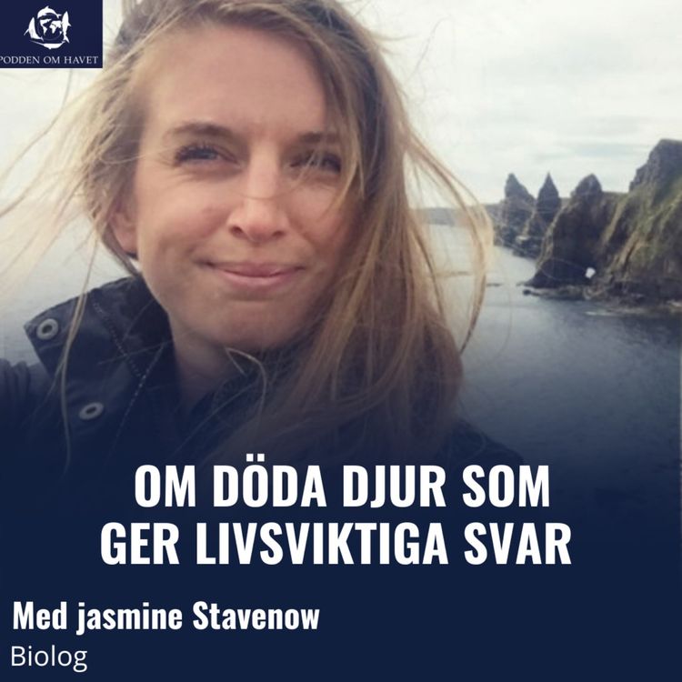 cover art for Om döda djur som ger livsviktiga svar med Jasmine Stavenow