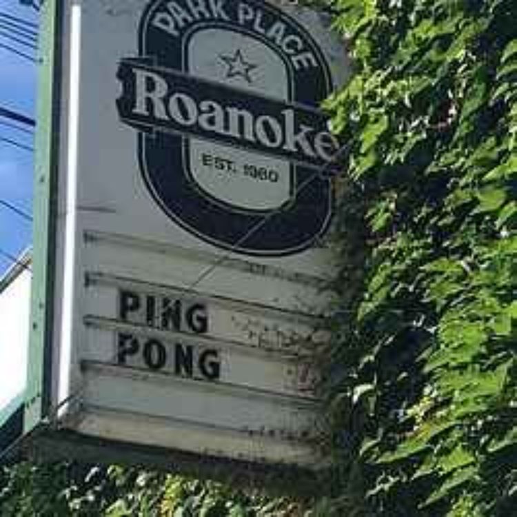 cover art for The Roanoke Park Place