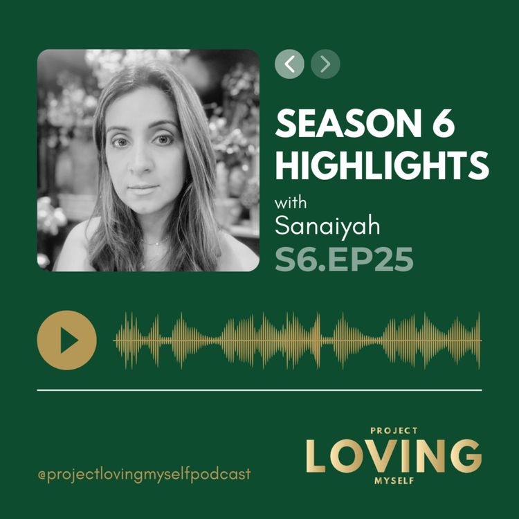 cover art for S6 Ep. 25: Season 6 Highlights