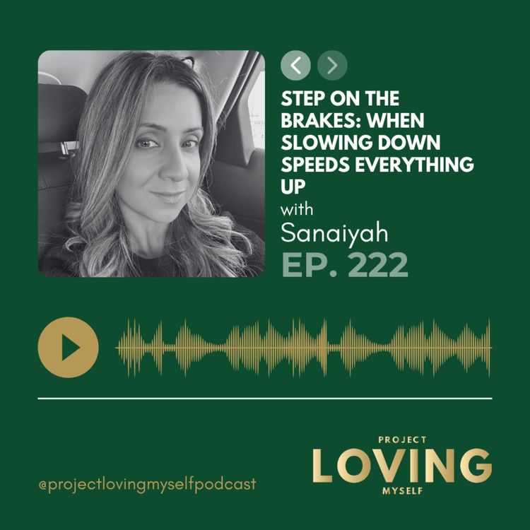cover art for 222: Step on the Brakes: When Slowing Down Speeds Everything Up
