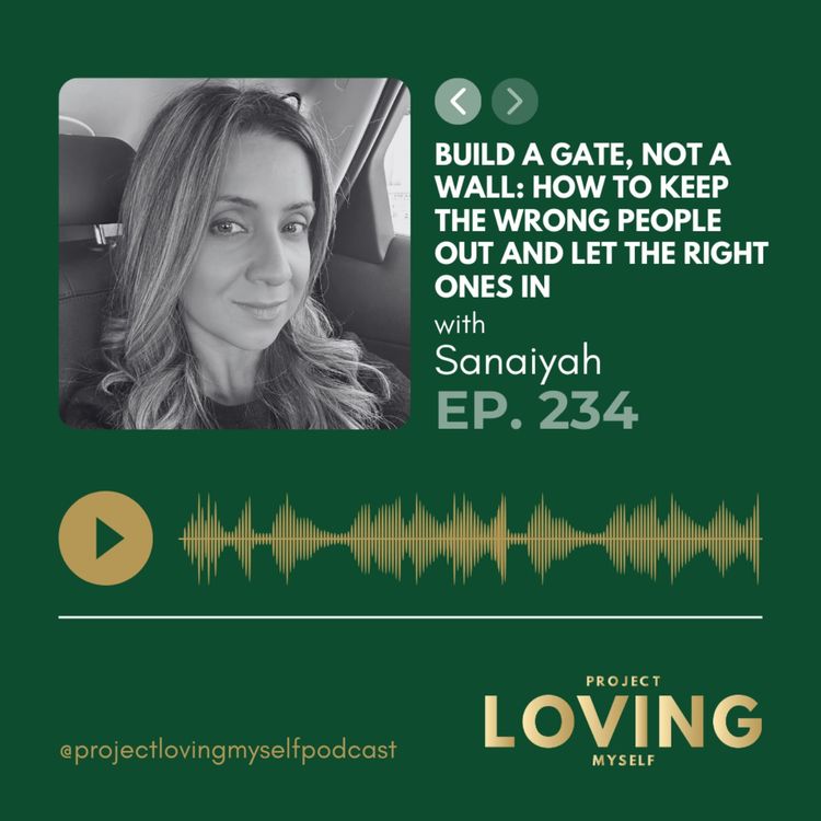 cover art for 234: Build a Gate, Not a Wall: How to Keep the Wrong People Out and Let the Right Ones In