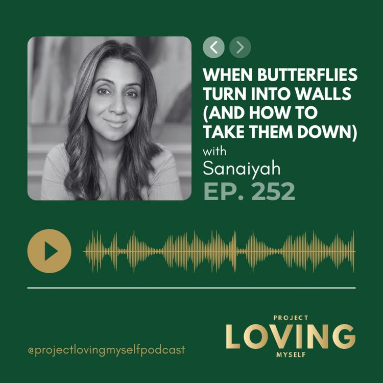cover art for 252: How Butterflies Turn Into Walls (and How to Take Them Down)