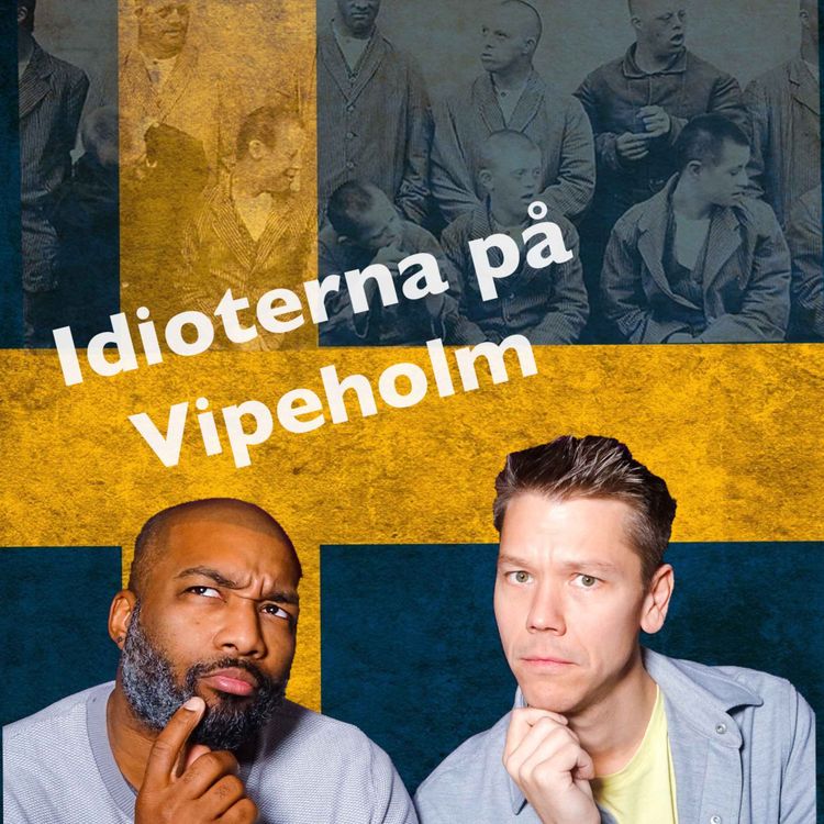 cover art for #11 Idioterna på Vipeholm