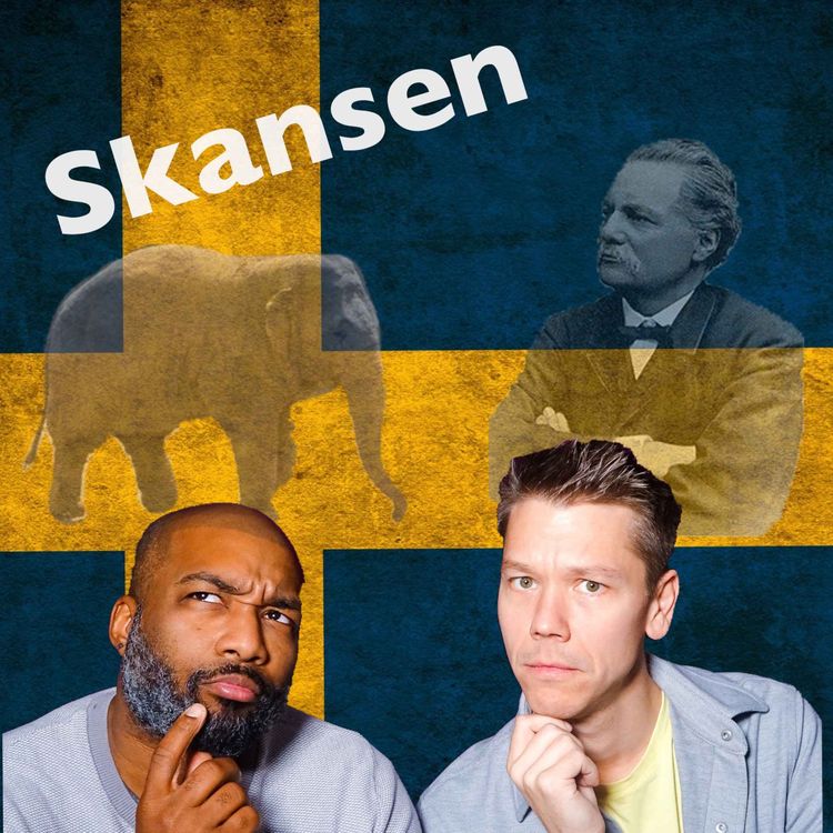 cover art for #28 Skansen