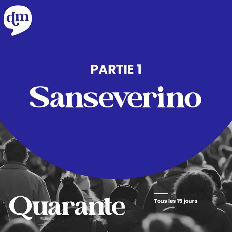 cover art for STEPHANE SANSEVERINO Rencontrer le succès à 40 ans - 1ère partie