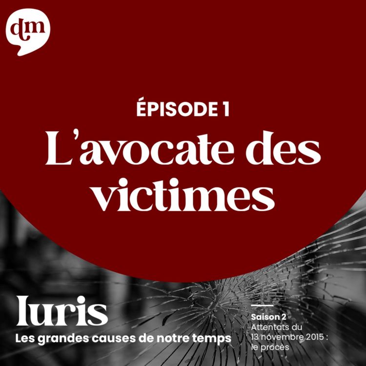 cover art for L'avocate de victimes 