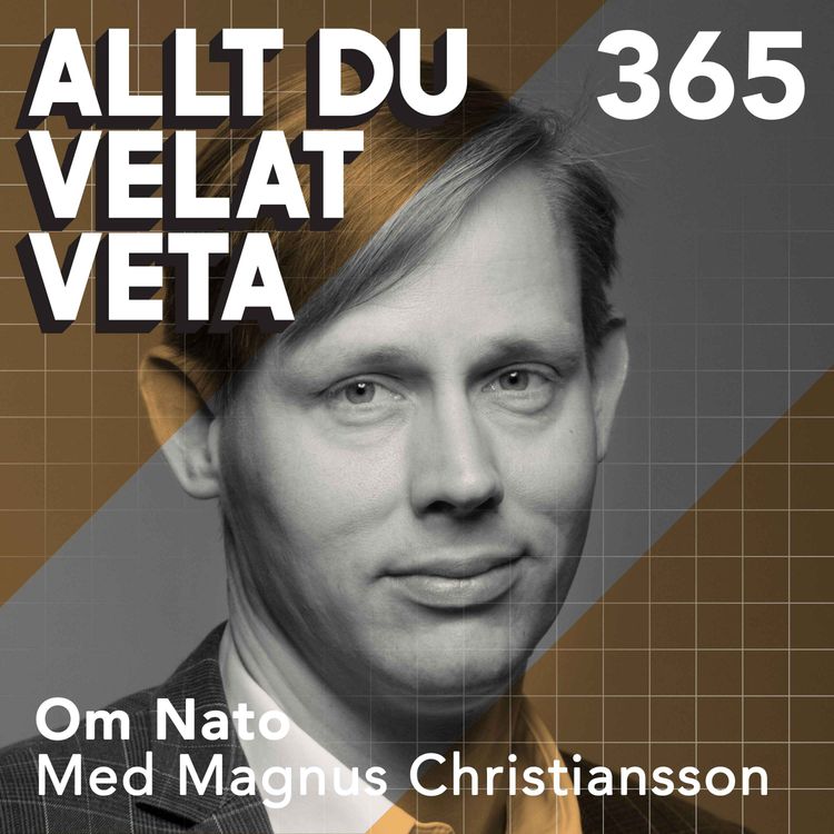 cover art for 365 Om Nato med Magnus Christiansson