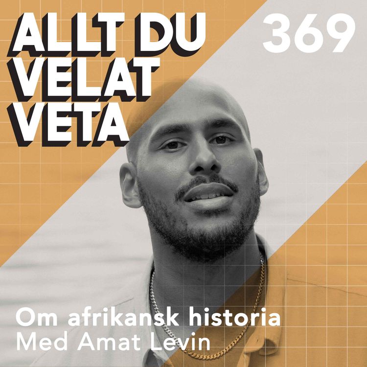 cover art for 369 Om afrikansk historia med Amat Levin