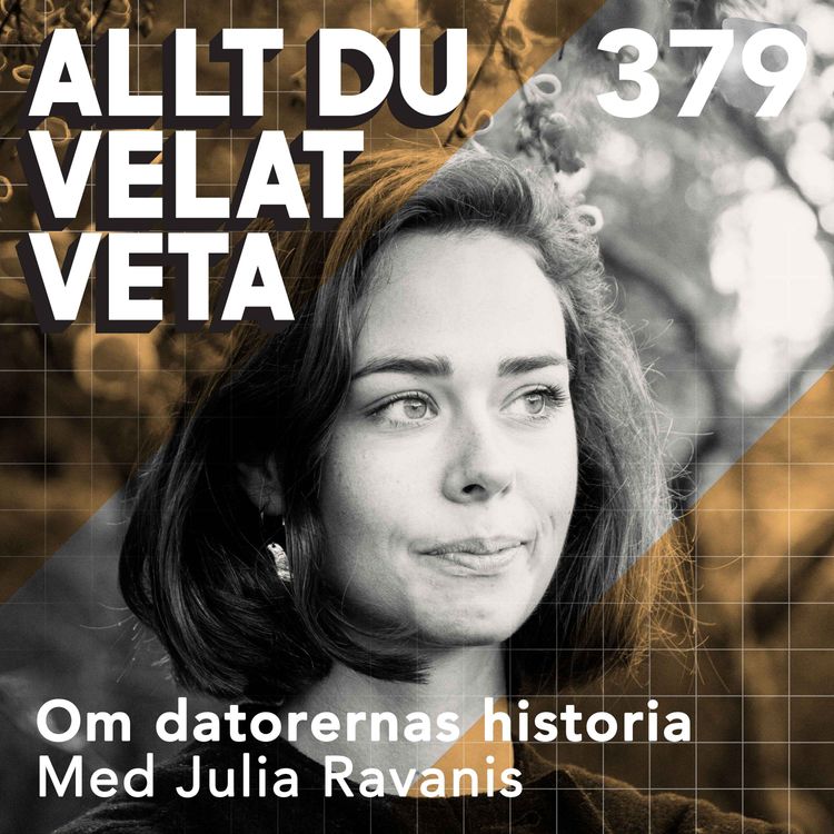 cover art for 379 Om datorernas historia med Julia Ravanis
