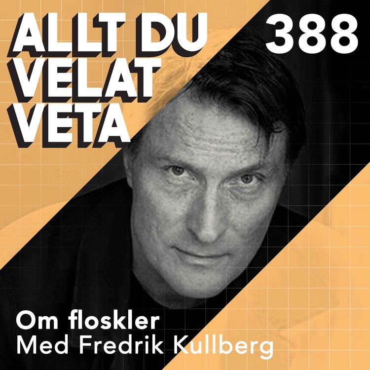 cover art for 388 Om floskler med Fredrik Kullberg