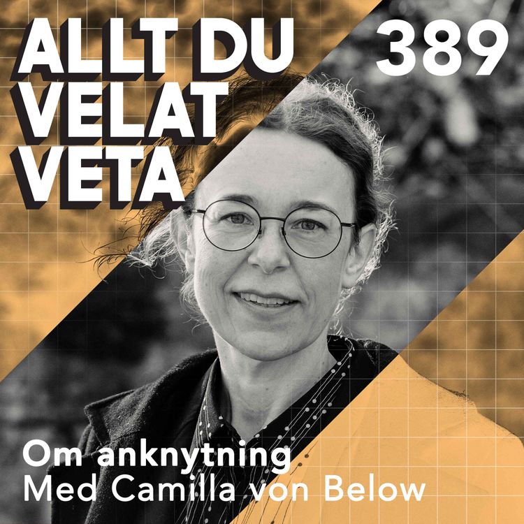 cover art for 389 Om anknytning med Camilla von Below