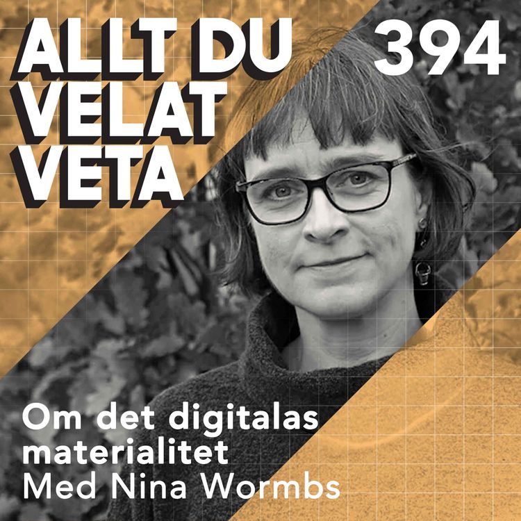 cover art for 394 Om det digitalas materialitet med Nina Wormbs