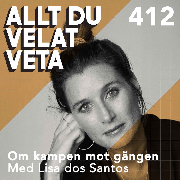 cover art for 412 Om kampen mot gängen med Lisa dos Santos