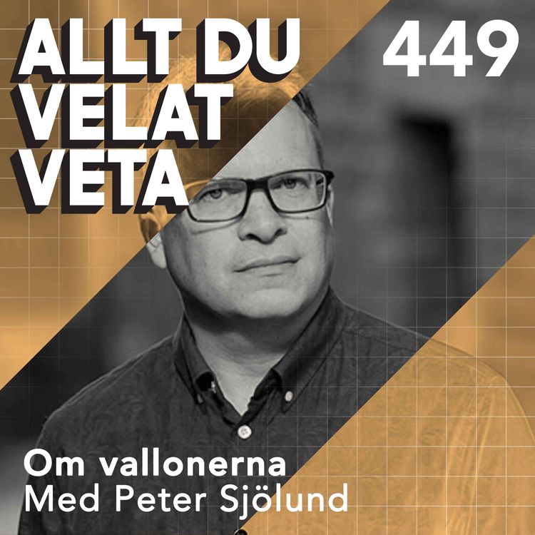 cover art for 449 Om valloner med Peter Sjölund