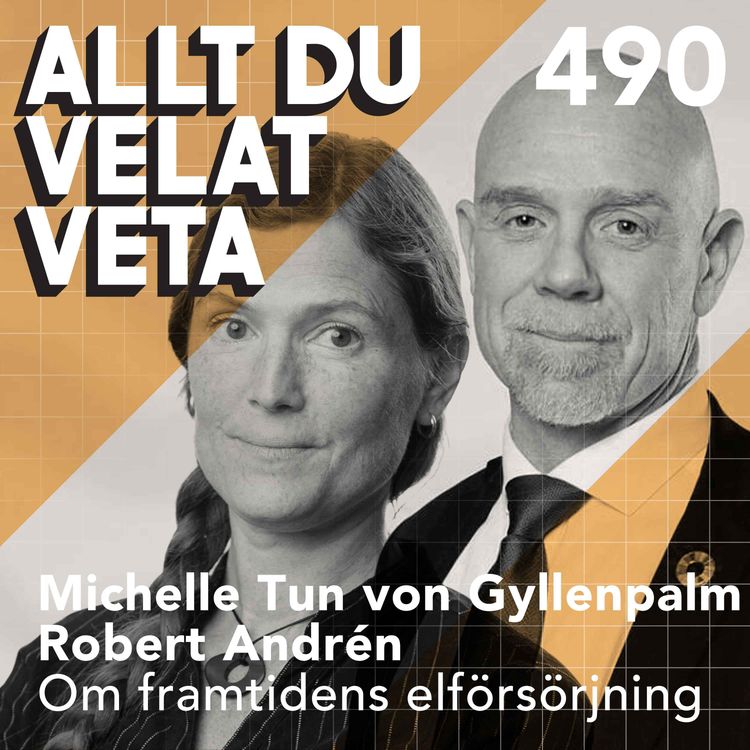 cover art for 490 Om framtidens elförsörjning med Michelle Tun von Gyllenpalm och Robert Andrén