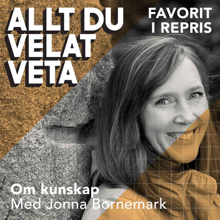 cover art for Om kunskap med Jonna Bornemark (repris)