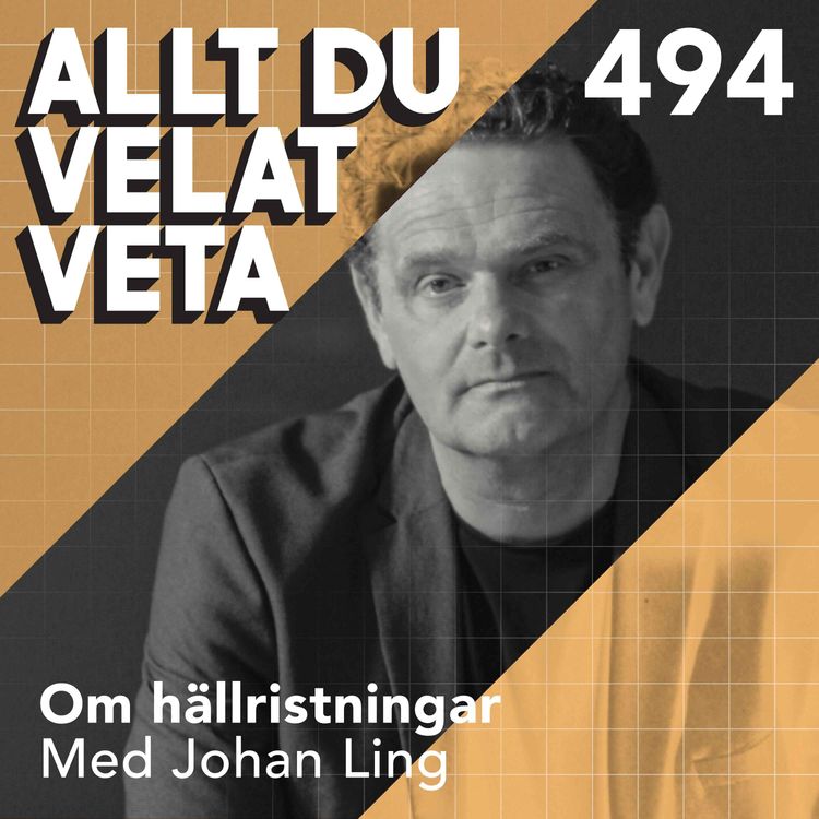 cover art for 494 Om hällristningar med Johan Ling