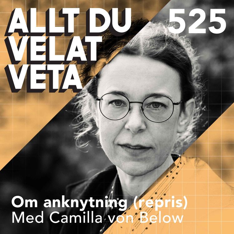cover art for 525 Om anknytning med Camilla von Below (repris) - anknytningsmönster bestämmer hur vi formar relationer som vuxna