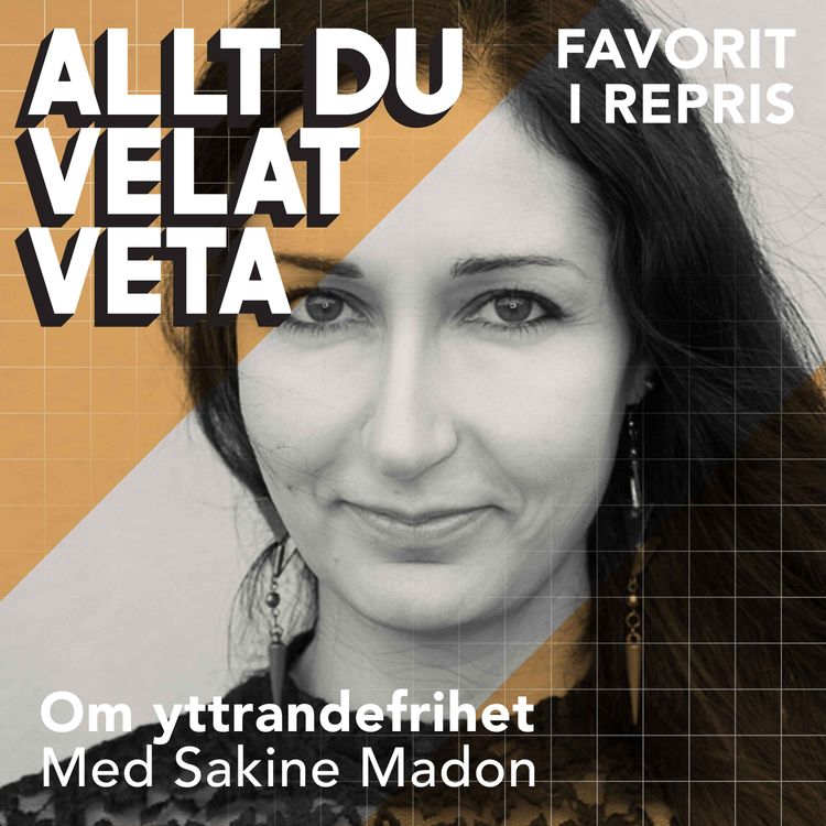 cover art for Om yttrandefrihet med Sakine Madon (repris)
