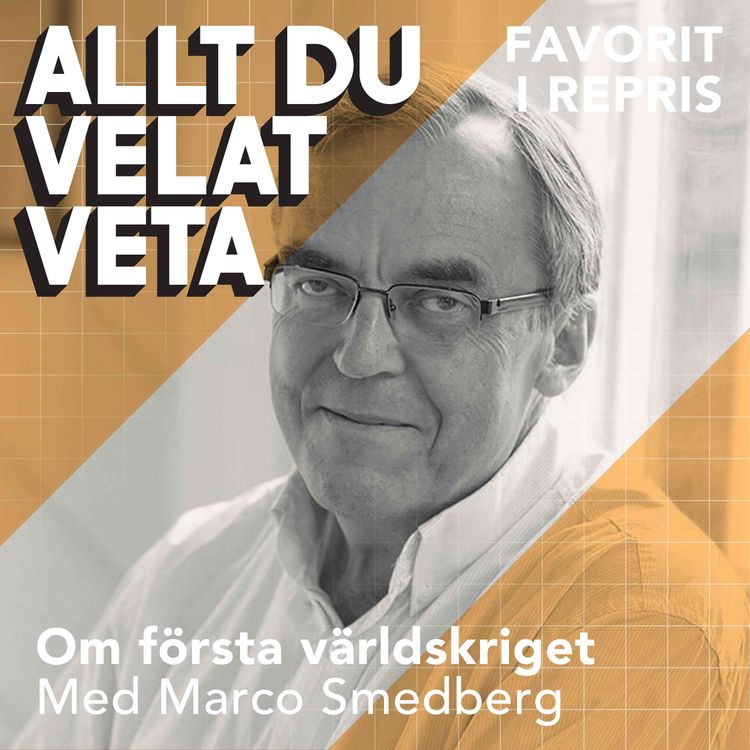 cover art for Om första världskriget med Marco Smedberg (repris)