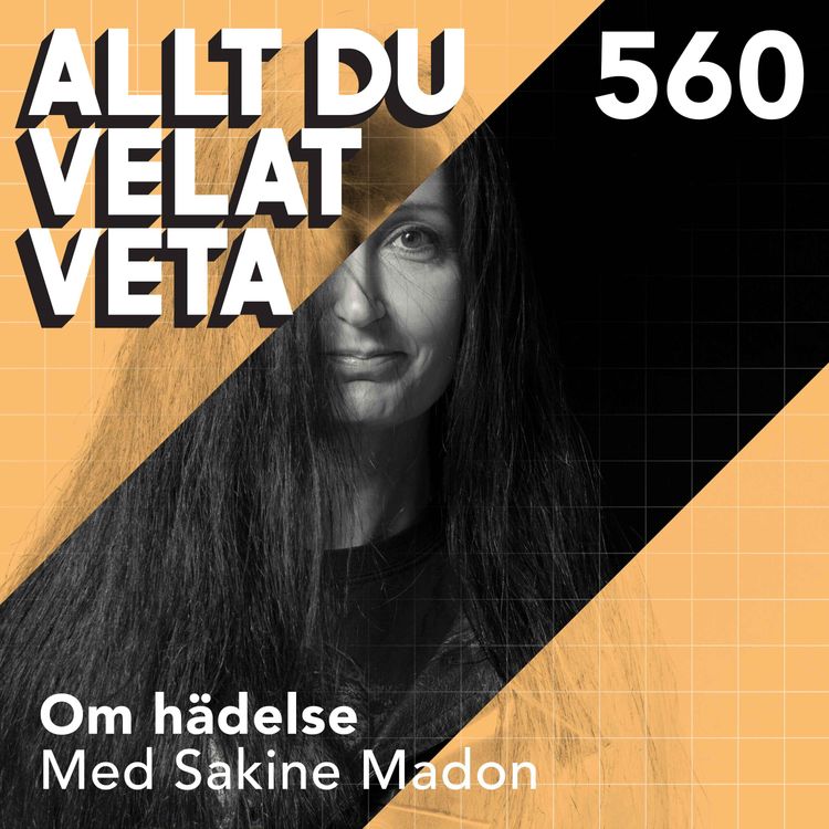 cover art for 560 Om hädelse med Sakine Madon