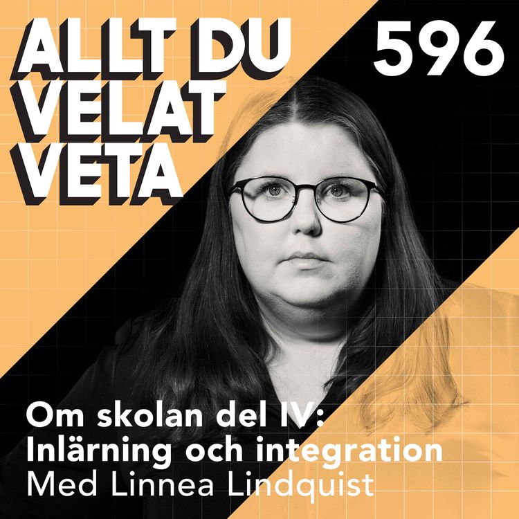 cover art for 595 Om skolan del IV - om inlärning och integration med Linnea Lindquist