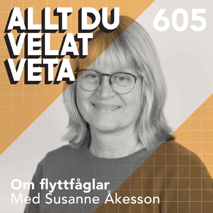 cover art for 605 Om flyttfåglar med Susanne Åkesson