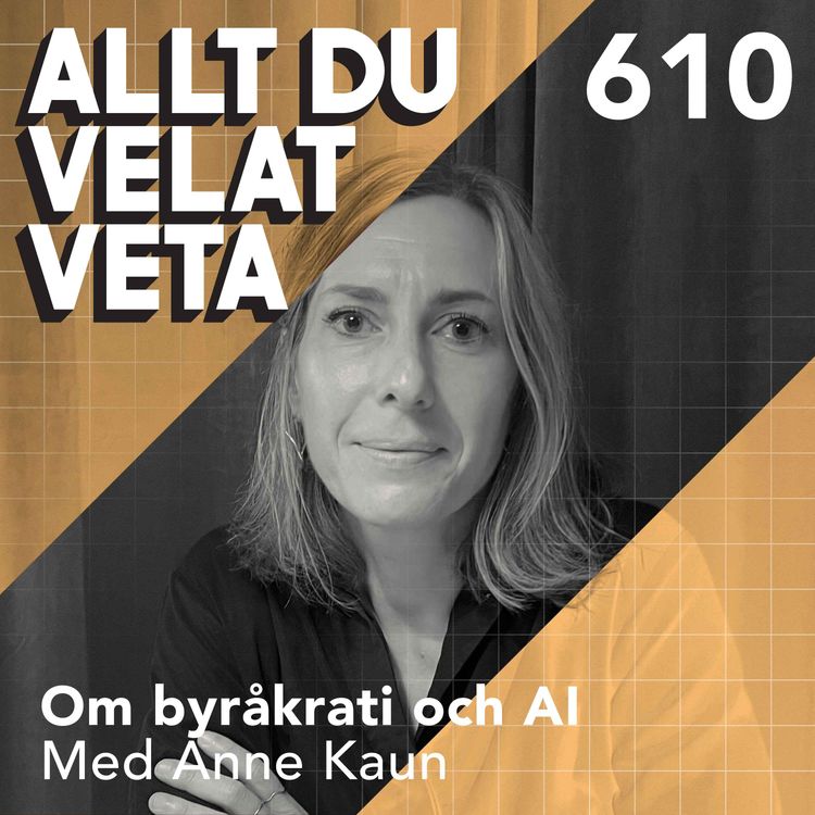 cover art for 610 Om byråkrati del IV - byråkrati och AI med Anne Kaun