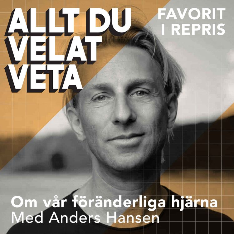 cover art for Om vår föränderliga hjärna med Anders Hansen - REPRIS