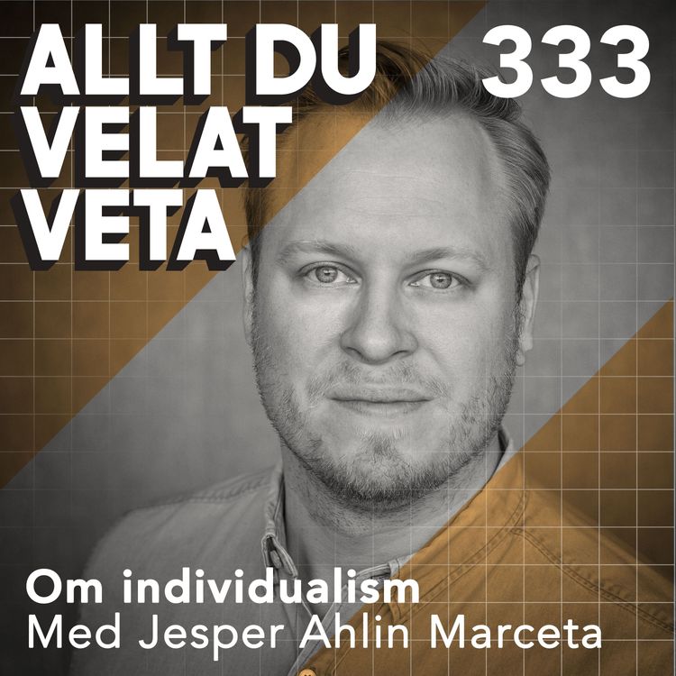 cover art for 333 Om individualism med Jesper Ahlin Marceta