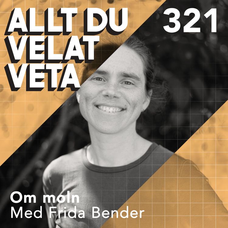 cover art for 321 Om moln med Frida Bender