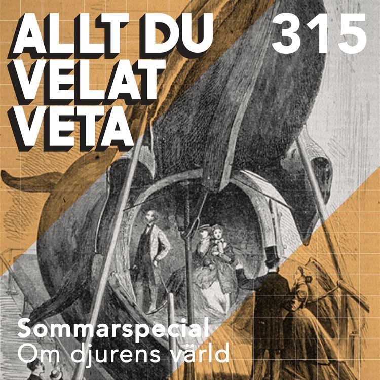 cover art for 315 Sommarspecial om djurens värld