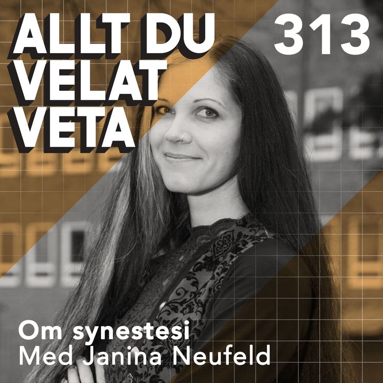 cover art for 313 Om synestesi med Janina Neufeld