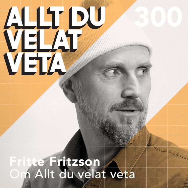 cover art for 300 Om Allt du velat veta med Fritte Fritzson