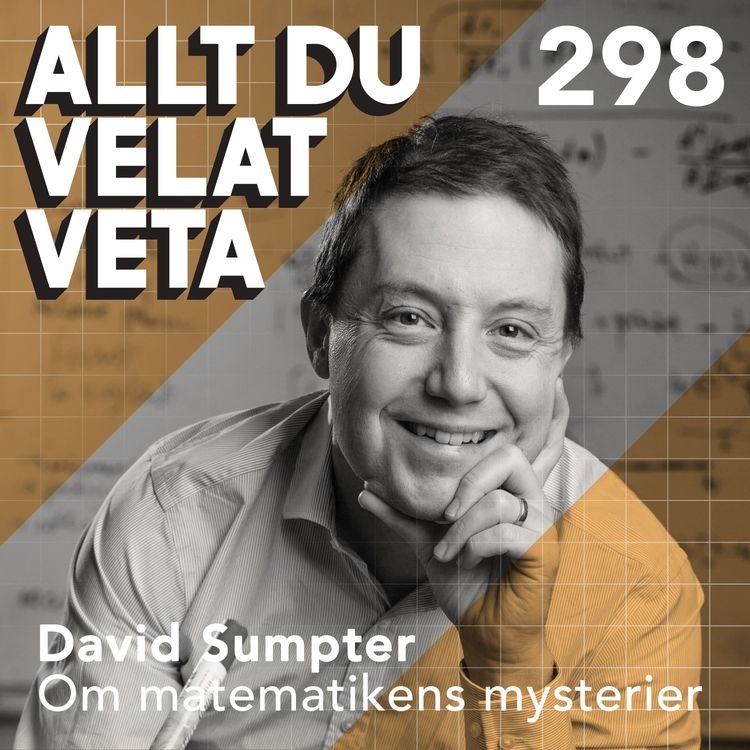 cover art for 298 Om matematikens mysterier med David Sumpter