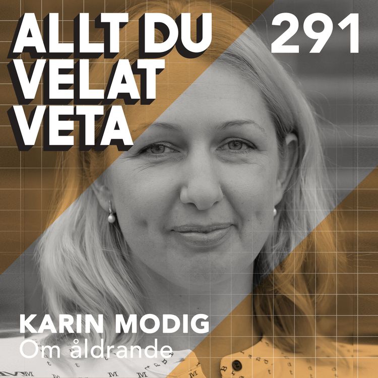 cover art for 291 Om åldrande med Karin Modig