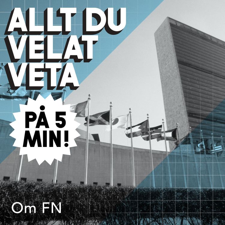 cover art for 5 minuter om FN