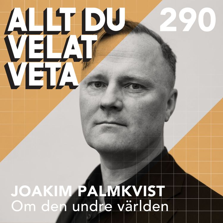 cover art for 290 Om den undre världen med Joakim Palmkvist