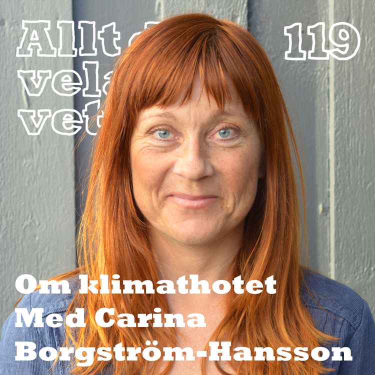 cover art for 119 Om klimathotet med Carina Borgström-Hansson