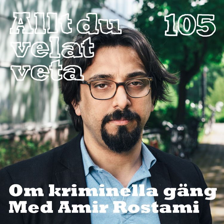 cover art for 105 Om kriminella gäng med Amir Rostami