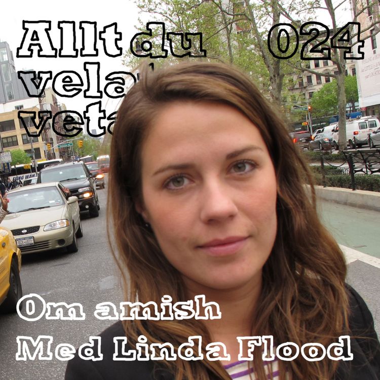 cover art for 024 om amish med Linda Flood