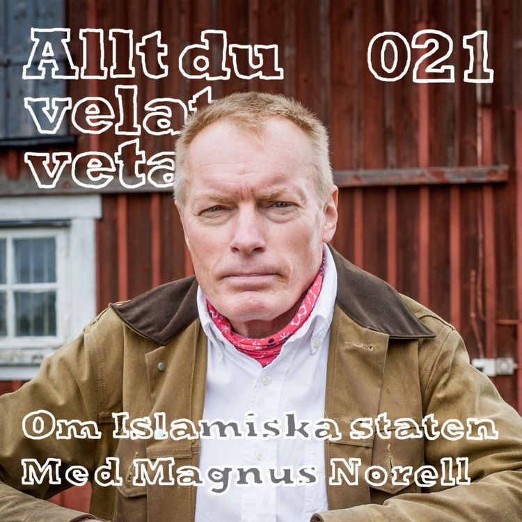 cover art for 021 Om Islamiska staten med Magnus Norell