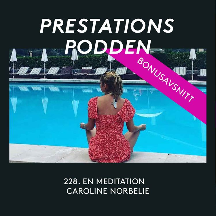 cover art for Bonusavsnitt: En meditation 