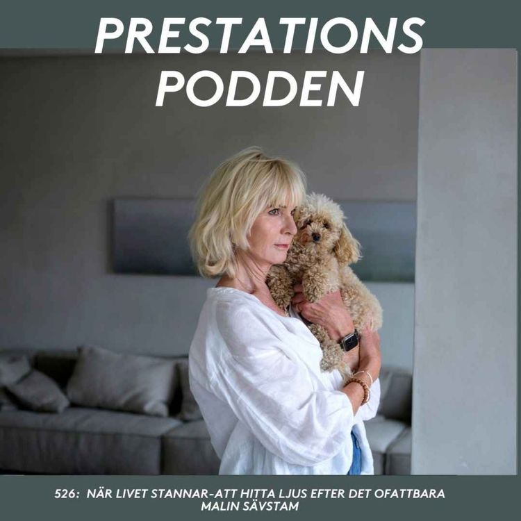 cover art for När livet stannar - Att hitta ljus efter det ofattbara - Malin Sävstam