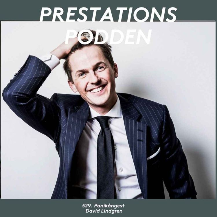 cover art for Panikångest - David Lindgren