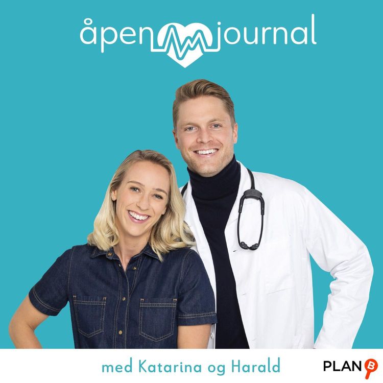 cover art for Åpen journal med Katarina og Harald -kommer snart