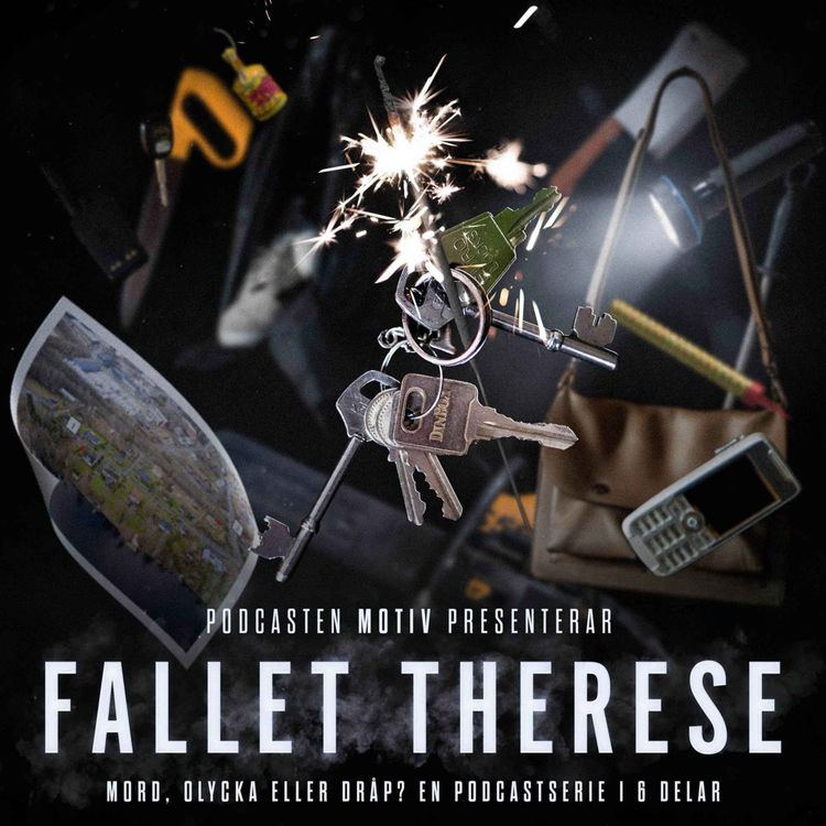 cover art for Fallet Therese - Del 5/6 "Sopspåret"
