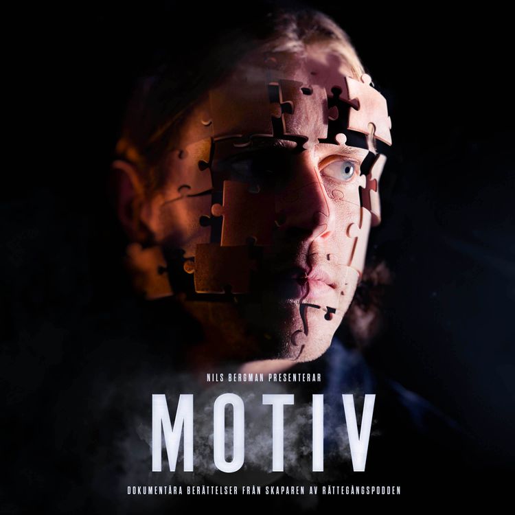 cover art for Introducerar MOTIV