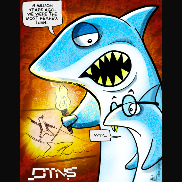 cover art for Where Have All The Sharks Gone?